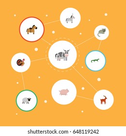 Flat Turkeycock, Jackass, Mutton And Other Vector Elements. Set Of Mammal Flat Symbols Also Includes Gobbler, Mammal, Hog Objects.