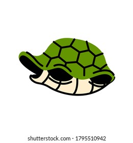 Flat turtle icon. Green turtle vector. Animal illustration in wildlife