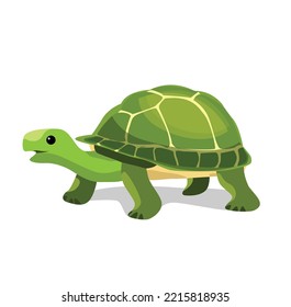 flat turtle illustration on white background