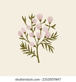 ramita plana de flores rosadas. flores rosadas polvorientas. afiche botánico minimalista.