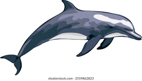 Flat two blue dolphins in a jump. Cute dolphins jumping on a white. Vector flat or cartoon illustration isolated on white.