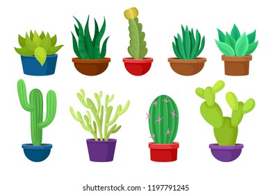 Flat vectoe set of different cacti in colorful ceramic pots. Succulent plants. Nature elements for home interior