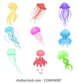 Flat vectoe set of jellyfish of different colors. Marine animals with long tentacles. Sea and ocean life