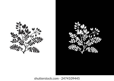 Flat vector Acacia flower icon illustration. Tree branch collection, floral isolated black and white