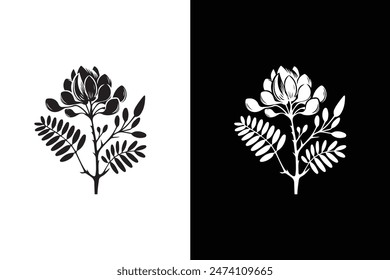 Flat vector Acacia flower icon illustration. Tree branch collection, floral isolated black and white.
