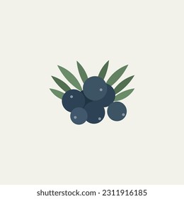 Flat vector acai berries illustration