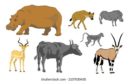 flat vector of African animals set, buffalo, hyena, warthog, hippopotamus, impala, oryx, baboon 