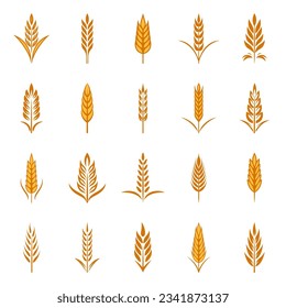 Flat Vector Agriculture Wheat Icon Set Isolated, Organic Wheat, Rice Ears. Design Template for Bread, Beer Logo, Packaging, Labels