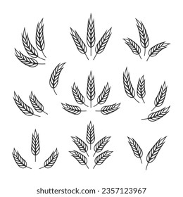 Flat Vector Agriculture Wheat Icon Set Isolated, Organic Wheat, Rice Ears. Design Template for Bread, Beer Logo, Packaging, Labels