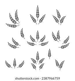 Flat Vector Agriculture Wheat Icon Set Isolated, Organic Wheat, Rice Ears. Design Template for Bread, Beer Logo, Packaging, Labels