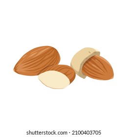 Vector plano de nueces de almendras aisladas sobre fondo blanco. Icono gráfico de ilustración plana