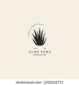 Ilustración plana vectorial aloe vera