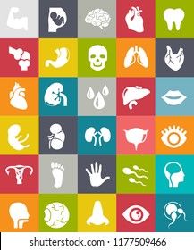 Flat vector ANATOMY Icons set. human body parts - kidney, tooth, muscle, nose, pregnant, organ, heart, bones, joint, skull, sperms, liver, lungs, brain, eye