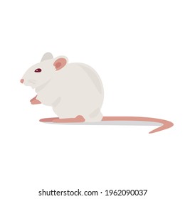 Flat vector animal mouse. modern flat illustrations.