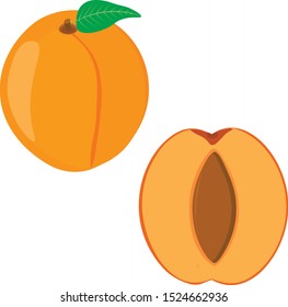 Flat vector apricot fruits icon for design. 