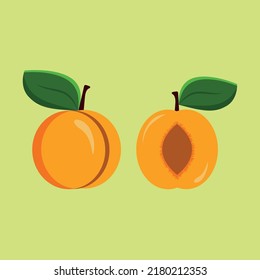 Flat vector of Apricots. Flat illustration graphic icon