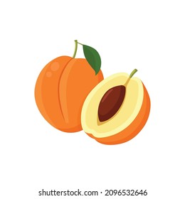 Flat vector of Apricots, Stone fruit family isolated on white background. Flat illustration graphic icon