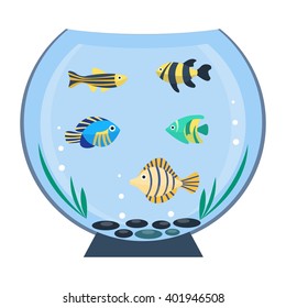 Flat vector aquarium. Colorful bright fish in the aquarium. Underwater life. Cute fish illustration