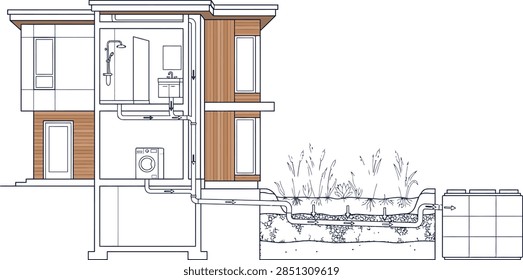 Flat vector architectural cross-section cutaway diagram of a modern sustainable two-story house showing a reed bed bio-filtration greywater recycling system with bathroom shower, sink, washing machine, drainage pipes with flow arrows, constructed wetland with aquatic plants, layered gravel filter, and storage tank, isolated on white background