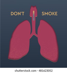 Flat, vector, art, human lungs, lungs, Do not smoke, cigarette, art, graphic, paper effect, point, health, medicine, warning, colors,organ, healthy lifestyle.