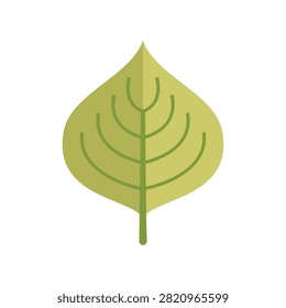 Flat vector aspen leaf with smooth teardrop shape, vertically split into two muted green tones, curved veins and short stem, minimalist illustration isolated on clean white background.