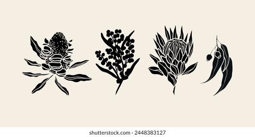 Flat vector Australian flowers. Banksia seed pod, wattle, protea, eucalyptus svg