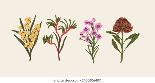 Flat vector Australian flowers collection