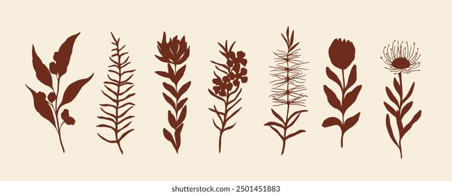 Flat vector Australian flowers and plants collection