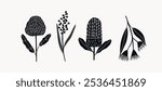 Flat vector Australian flowers. Waratah, wattle, banksia, eucalyptus