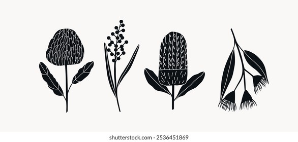 Flat vector Australian flowers. Waratah, wattle, banksia, eucalyptus