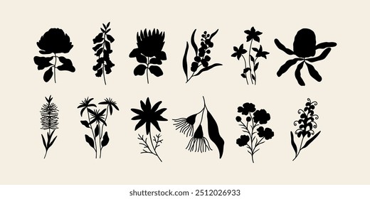 Conjunto de flores nativas australianas de Vector plano	