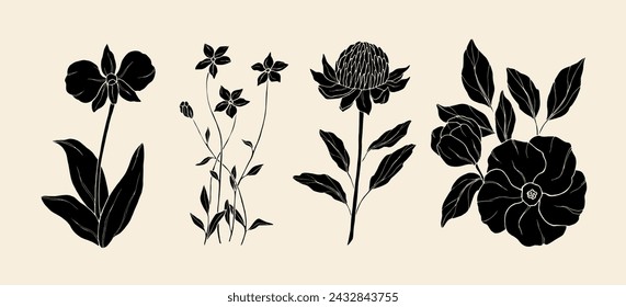 Flat vector Australian native flowers