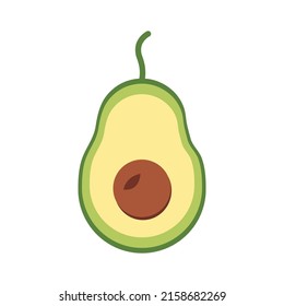 flat vector of avocado fruit and its seeds seen from the inside