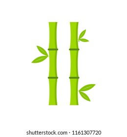 Flat vector bamboo icon on a white background