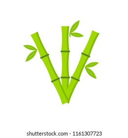 Flat vector bamboo icon on a white background