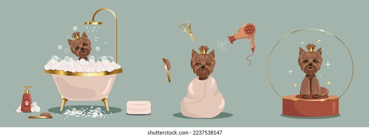 Flat vector banner pet grooming concept equipment elements in boho style. Cute dog character, takes a bubble bath and grooming tools for wool care. Dog washing service the grooming salon svg