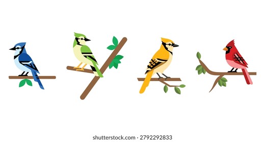 Flat Vector Bird Illustration Set with Blue Jay Finch and Cardinal on Branches