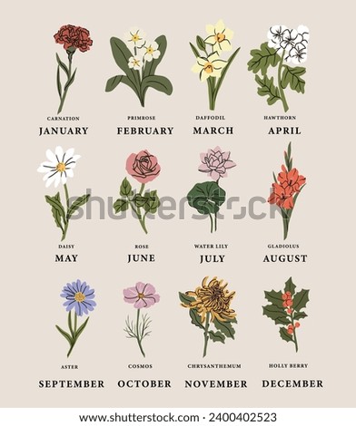 Flat vector birth month flowers collection