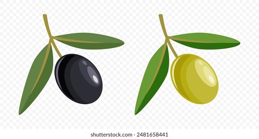 Flat Vector Black and Green Olives Set. Hand Drawn Olive Tree Berry, Branch Clipart. Olive Twig with Leaves. Design Template for Olive Oil Products, Packaging, Food Concept