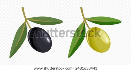 Flat Vector Black and Green Olives Set. Hand Drawn Olive Tree Berry, Branch Clipart. Olive Twig with Leaves. Design Template for Olive Oil Products, Packaging, Food Concept