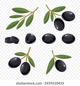 Flat Vector Black Olives and Branch Set. Hand Drawn Olive Tree Berry and Branch Clipart. Olive Twig with Leaves. Design Template for Olive Oil Products, Packaging, Food Concept