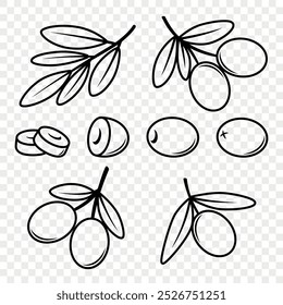 Flat Vector Black Olives and Branch Outline Set. Hand-Drawn Olive Tree Berries and Branch Clipart. Olive Twig with Leaves for Olive Oil Products, Packaging, Food Design Template