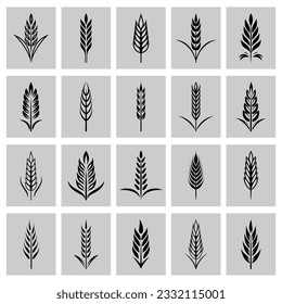 Flat Vector Black and White Agriculture Wheat Icon Set, Organic Wheat, Rice Ears, Isolated. Design Template for Bread, Beer Logo, Packaging, Labels