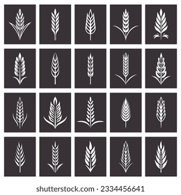 Flat Vector Black and White Agriculture Wheat Icon Set, Organic Wheat, Rice Ears, Isolated. Design Template for Bread, Beer Logo, Packaging, Labels
