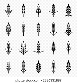 Flat Vector Black and White Agriculture Wheat Icon Set Isolated, Organic Wheat, Rice Ears. Design Template for Bread, Beer Logo, Packaging, Labels