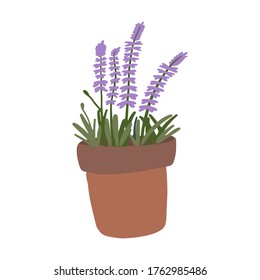 Flat vector blossom lavender in a pot. Design element for pattern, print, packing, stickers, poster, website, social media, card