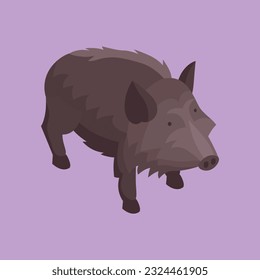 flat vector boar animal by seeyouproject