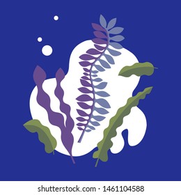 Flat Vector Botanical Illustration with Seaweed 