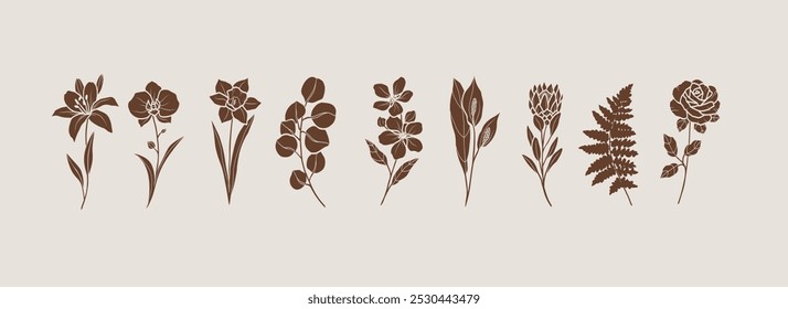 Flat vector botanical logotypes. Lily, orchid, daffodil, eucalyptus, apple blossom, spathiphyllum, protea, fern, rose illustration