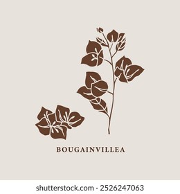 Ilustración de ramas de flores de buganvillas de Vector plano